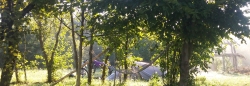 Campground in nature in Croatia