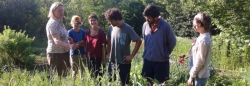 Permaculture workshops and craft workshops in nature